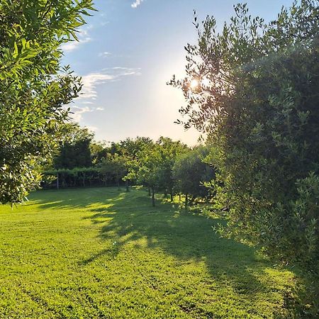 Apartman Doli Nedescina Екстер'єр фото